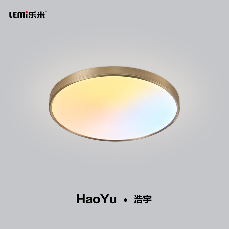 乐米浩宇吸顶灯