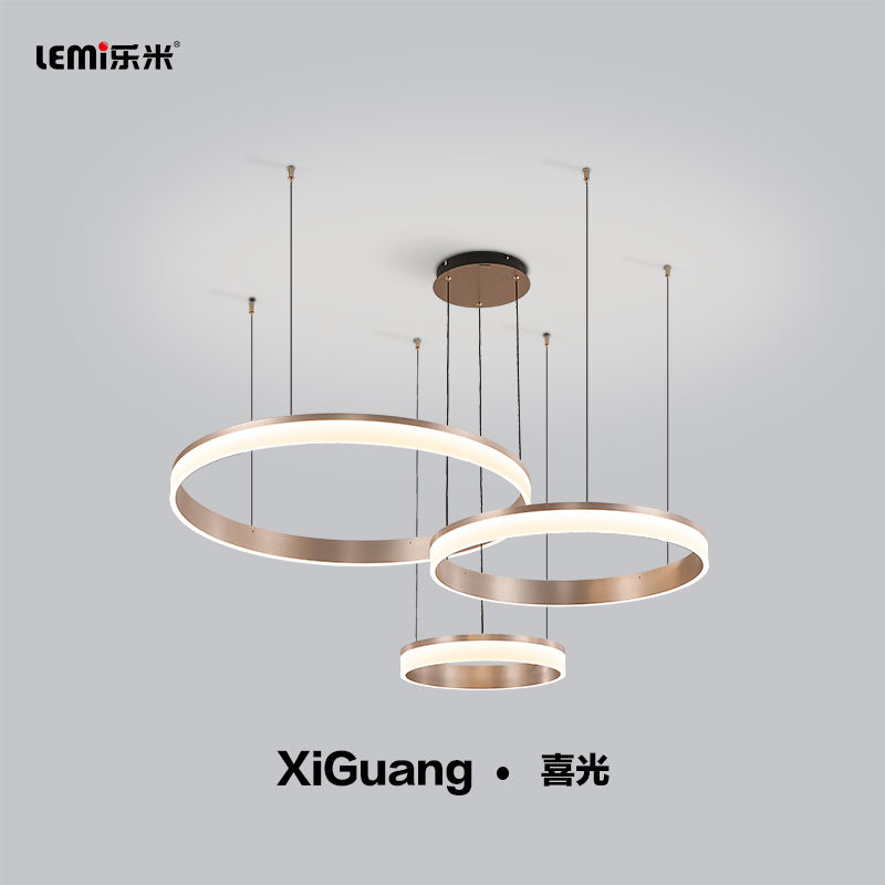 乐米喜光系列圆圈吊灯